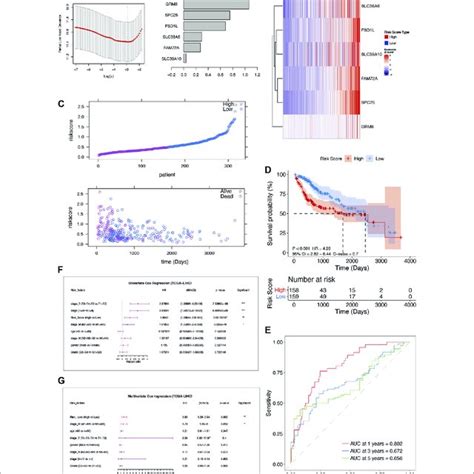 The Construction And Verification Of Afs Derived Prognostic Model In