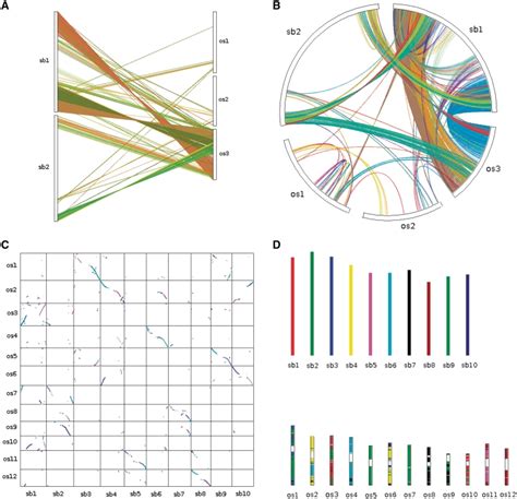 Different Types Of Plots Showing Patterns Of Synteny And Collinearity