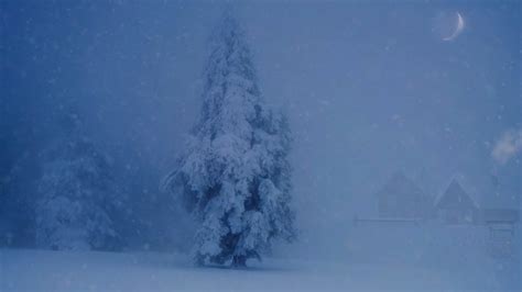 Winter Storm Ambience With Howling Wind Heavy Snowfall And Icy