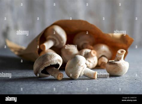 Mushrooms Paper Bag Hi Res Stock Photography And Images Alamy