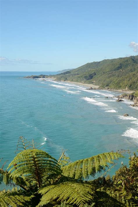 View from the Coast Road in New Zealand Stock Image - Image of road, growing: 110014809