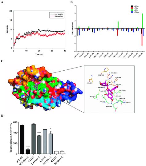 The Results Of The Molecular Docking Md Simulation Of The