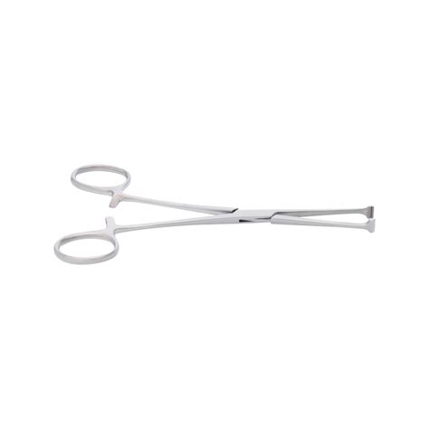 Allis Tissue Forceps Scientific Lab Equipment Manufacturer And Supplier