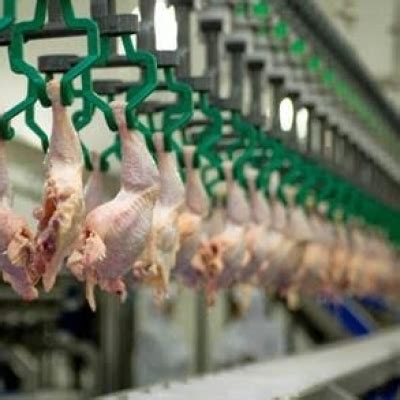 Brasil se prepara para novo recorde de exportações de carne de frango