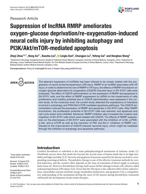 Pdf Suppression Of Long Non Coding Rna Rmrp Ameliorates Oxygen