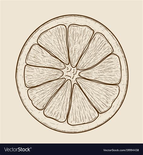 Orange Slice Hand Drawn Sketch On Beige Royalty Free Vector