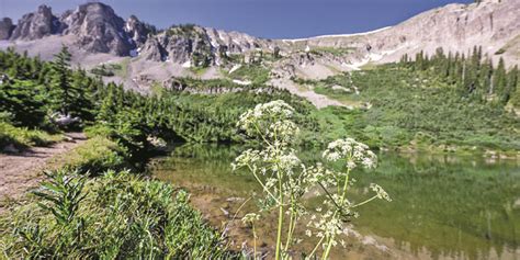 July is a stretch. Two examples—one good and one bad… – The Crested Butte News