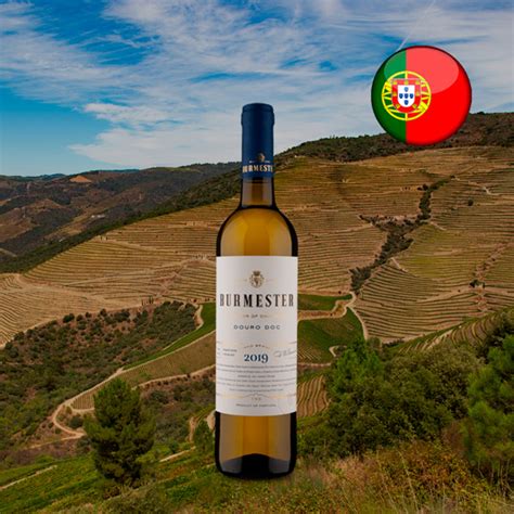 Burmester D O C Douro Branco 2019 Center Gourmet Vinhos E