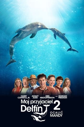 Dolphin Tale 2 Where To Watch And Stream