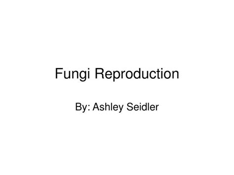 PPT - Fungi Reproduction PowerPoint Presentation - ID:1220064