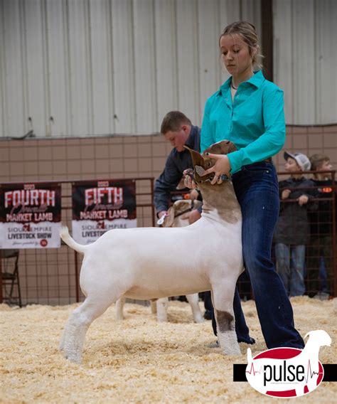 Sioux Empire Livestock Show Top 5 Market Goats The Pulse