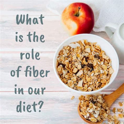 Your Body Needs More Fiber Understand The Health Benefits