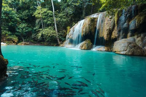 A Complete Hiking Guide To Erawan Falls Thailand