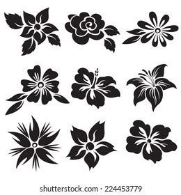 Vector Set Black White Flowers Stock Vector Royalty Free 224453779