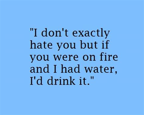 I Dont Hate You Quotes Quotesgram