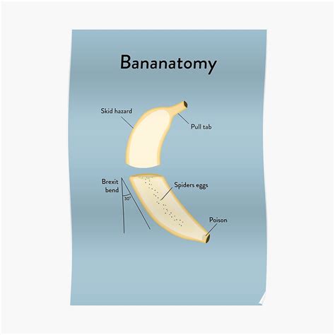 "Banana Anatomy" Poster by Wildyles | Redbubble