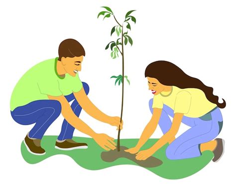 El Hombre Y La Mujer J Venes Est N Plantando Rboles La Pareja Planta