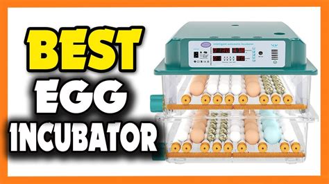 Top Best Egg Incubator In Youtube