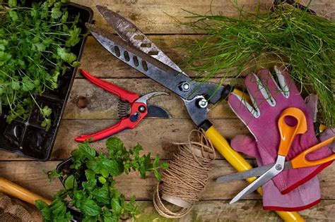 Quels Outils Pour Entretenir Son Jardin