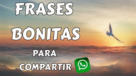 Las Mejores Frases Bonitas Para Tu Estado De WhatsApp