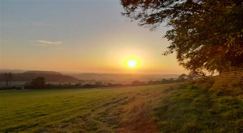 Vitamin D and viral immunity | Total Health