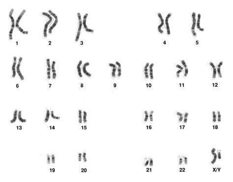 44 Genomes Threshold Concepts In Biochemistry