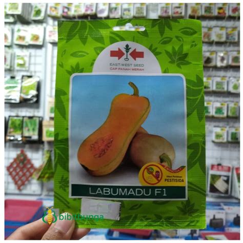 Jual Benih Bibit Labu Madu LABUMADU F1 Butternut Cap Panah Merah 10