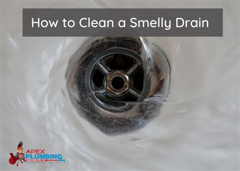 How To Clean A Smelly Drain Blogs Apex Plumbing Services