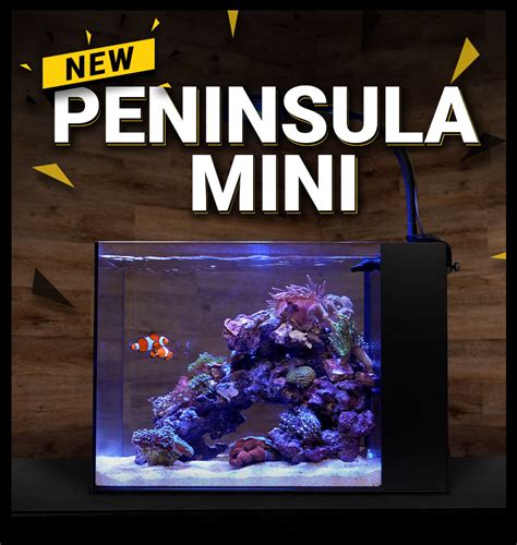 New Waterbox Peninsula Mini All In One Aquarium Amazonas Magazine