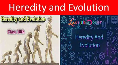 NCERT Solutions Class 10th Science Chapter 9 Heredity And Evolution