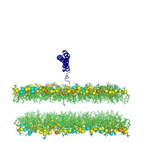 Figures And Data In Syntaxin 17 Recruitment To Mature Autophagosomes Is
