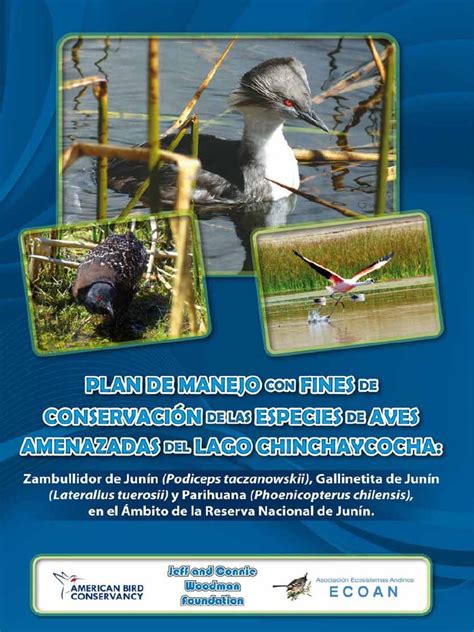 Pdf Plan De Manejo Del Lago Junin Dokumen Tips