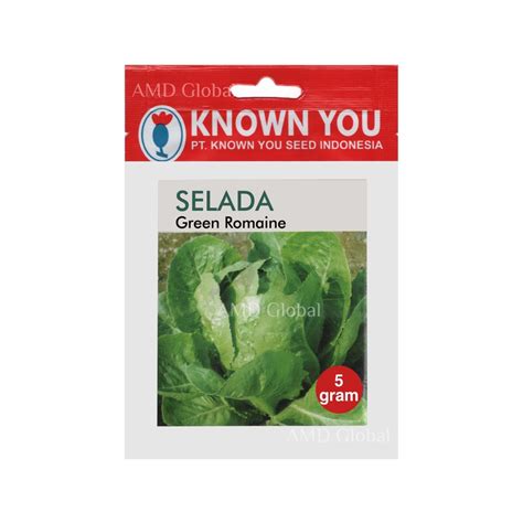 Jual Benih Selada Butterhead Green Romaine Known You Seed Isi 5 Gram