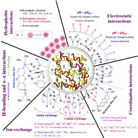 Adverse Effects Caused By Heavy Metals On Human Health Download Scientific Diagram