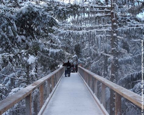 Bavarian Forest Winter Wonderland! | Eurotours Gruppenreisen