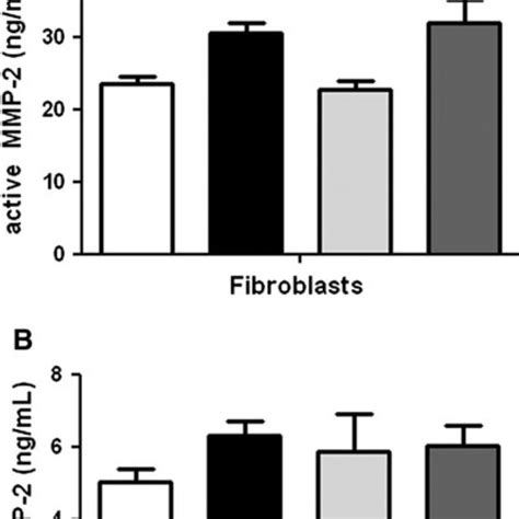 Effect Of Mechanical Stretch And IL 10 On MMP 2 Release From