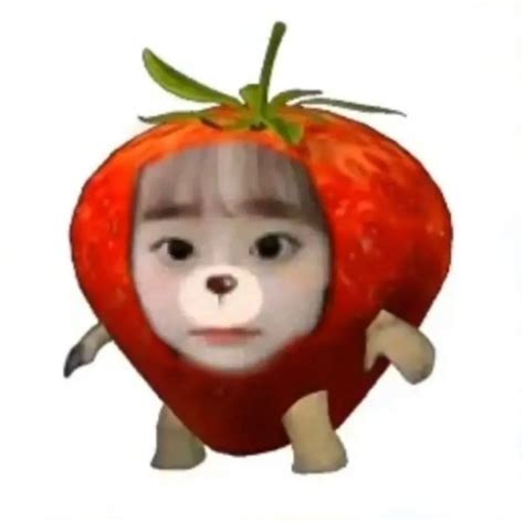 Create Meme Cat Apple Meme Apple Cat Run Kitty Fruit Meme