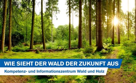 Wie Sieht Der Wald Der Zukunft Aus Kompetenz Und Informationszentrum