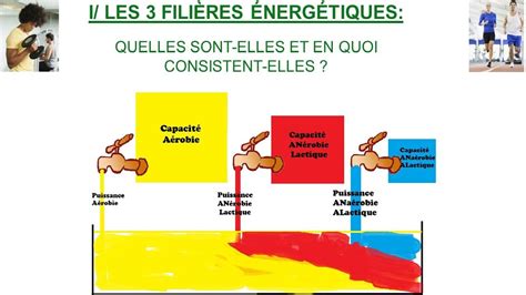 les trois filières énergétiques YouTube