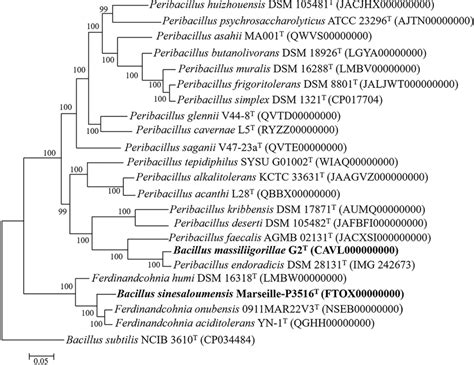 Phylogenomic Tree Based On Bacterial Single Copy Genes Showing The