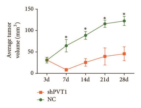 Lncrna Pvt Can Regulate The Growth Of Gc A The Expression Of Pvt