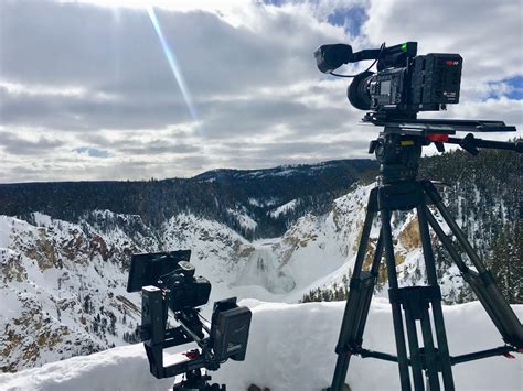 Yellowstone Wolves National Geographic Channel Abu Dhabi Photos