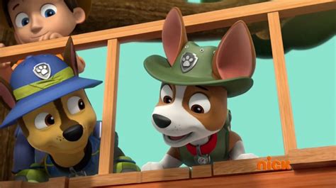 Tracker And Chase Gallery Paw Patrol Relation Ship Wiki Fandom