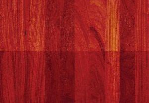 Padauk Wood In Chennai | Pterocarpus Wood Manufacturers & Suppliers In Chennai