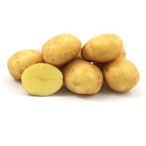 Продам семенной картофель, сорт Ривьера, Еволюшин - Черниговская обл ...