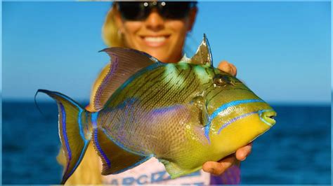 Bikini Bowfishing Fishing In Central Florida Darcizzle Offshore