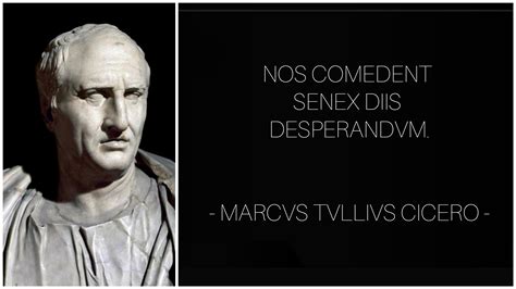 One Of My Favourite Cicero Quotes Rlatin