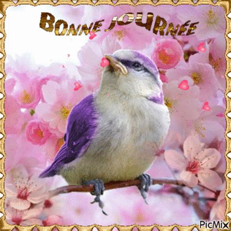 A Bird Is Sitting On A Branch With Pink Flowers In The Background And