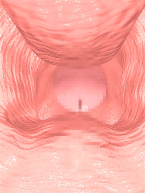 X Ray Hentai Cum Uterus