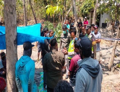 Tragis Seorang Pria Di Karangrayung Grobogan Meninggal Tertimpa Pohon